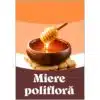 Foto Eticheta 251